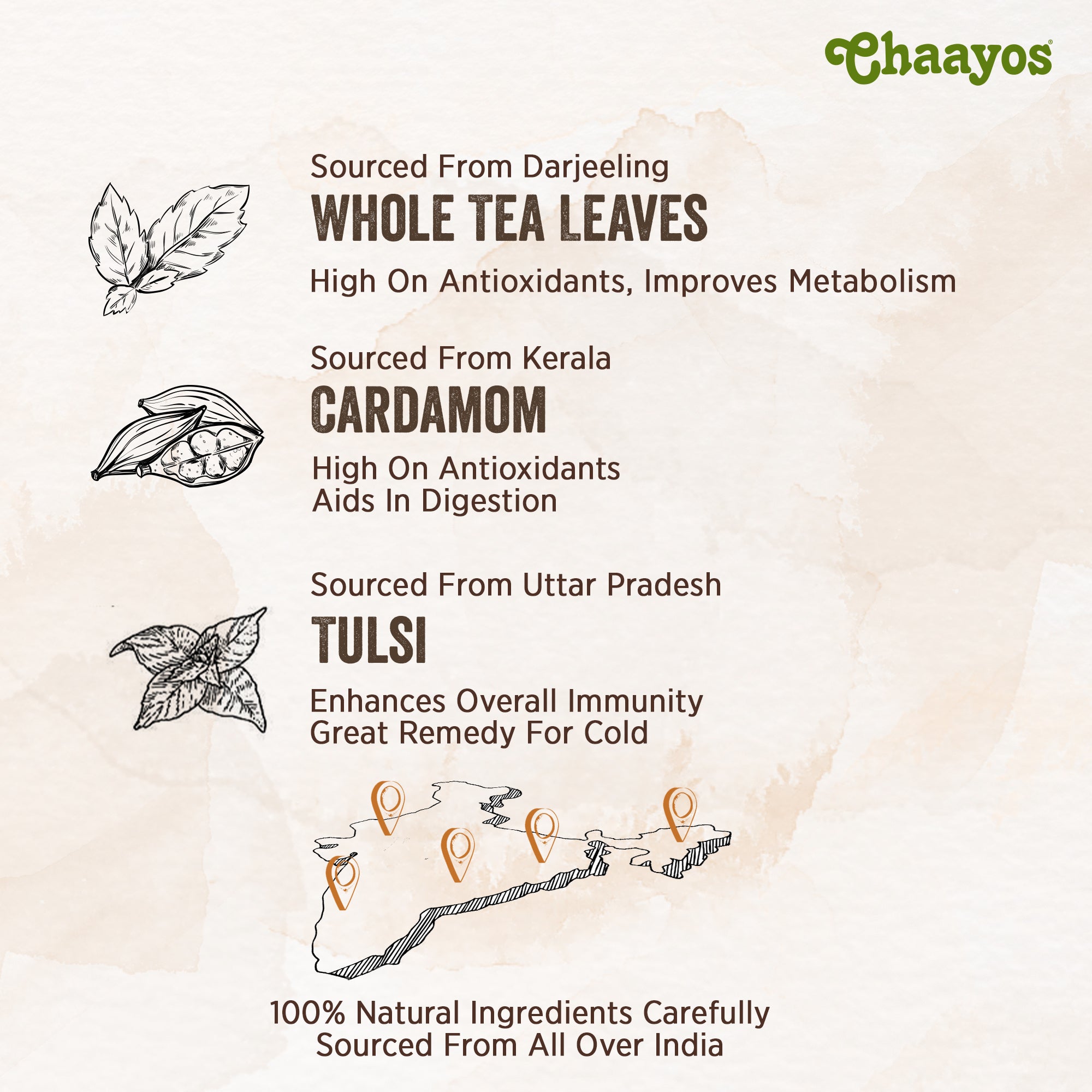 Chaayos Green Tea Bags - Tulsi Cardamom
